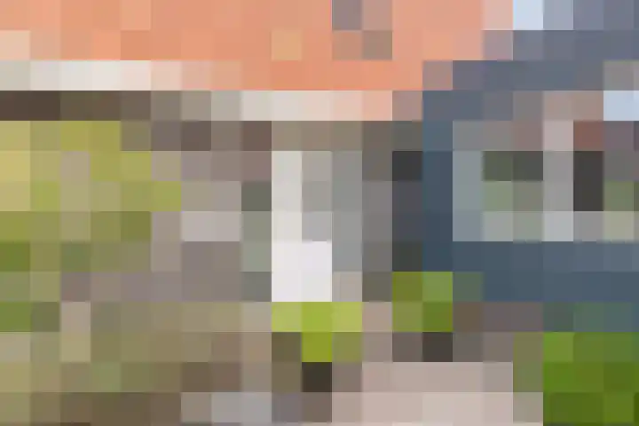 Gerben van Manenstraat 139 Drachten thumbnail 9