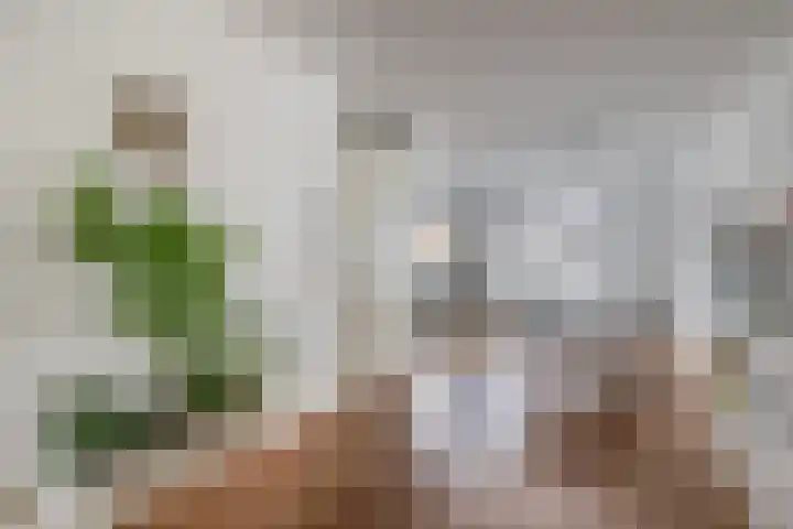 Gerben van Manenstraat 157 Drachten thumbnail 14