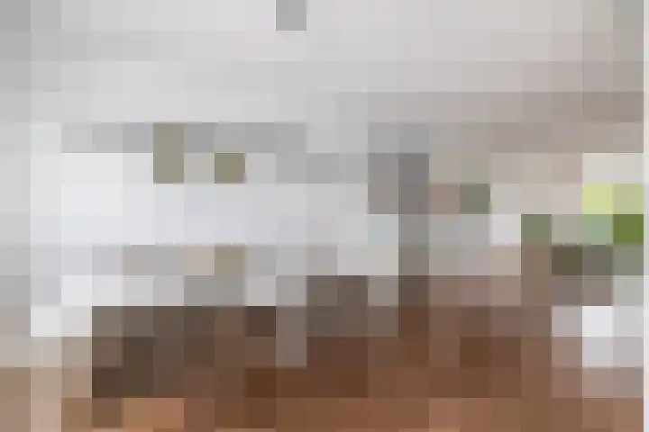 Gerben van Manenstraat 157 Drachten thumbnail 15