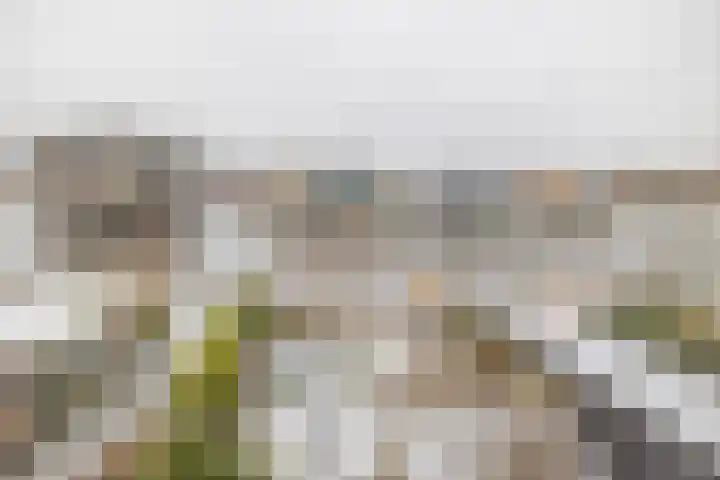 Gerben van Manenstraat 157 Drachten thumbnail 35