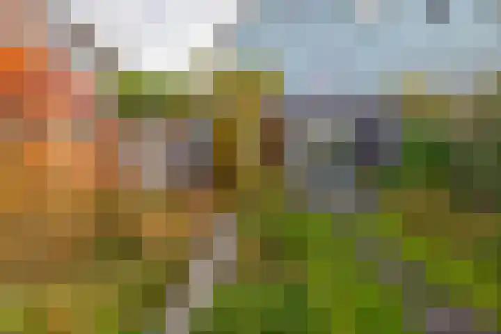 Gerben van Manenstraat 157 Drachten thumbnail 39