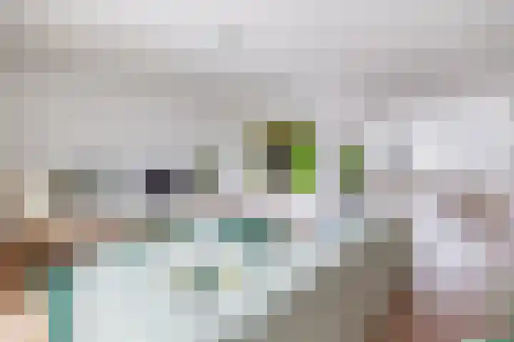 Gerben van Manenstraat 157 Drachten thumbnail 4