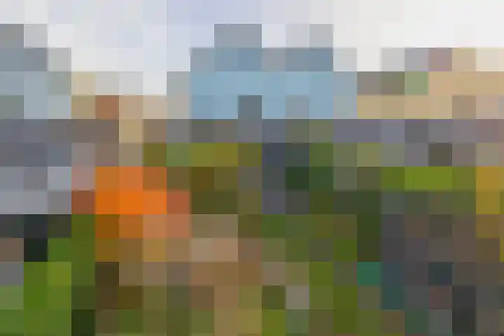 Gerben van Manenstraat 157 Drachten thumbnail 42