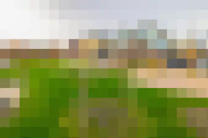 Gerben van Manenstraat 157 Drachten thumbnail 48