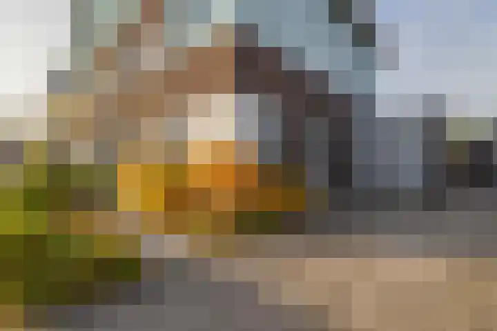 Gerben van Manenstraat 157 Drachten thumbnail 5