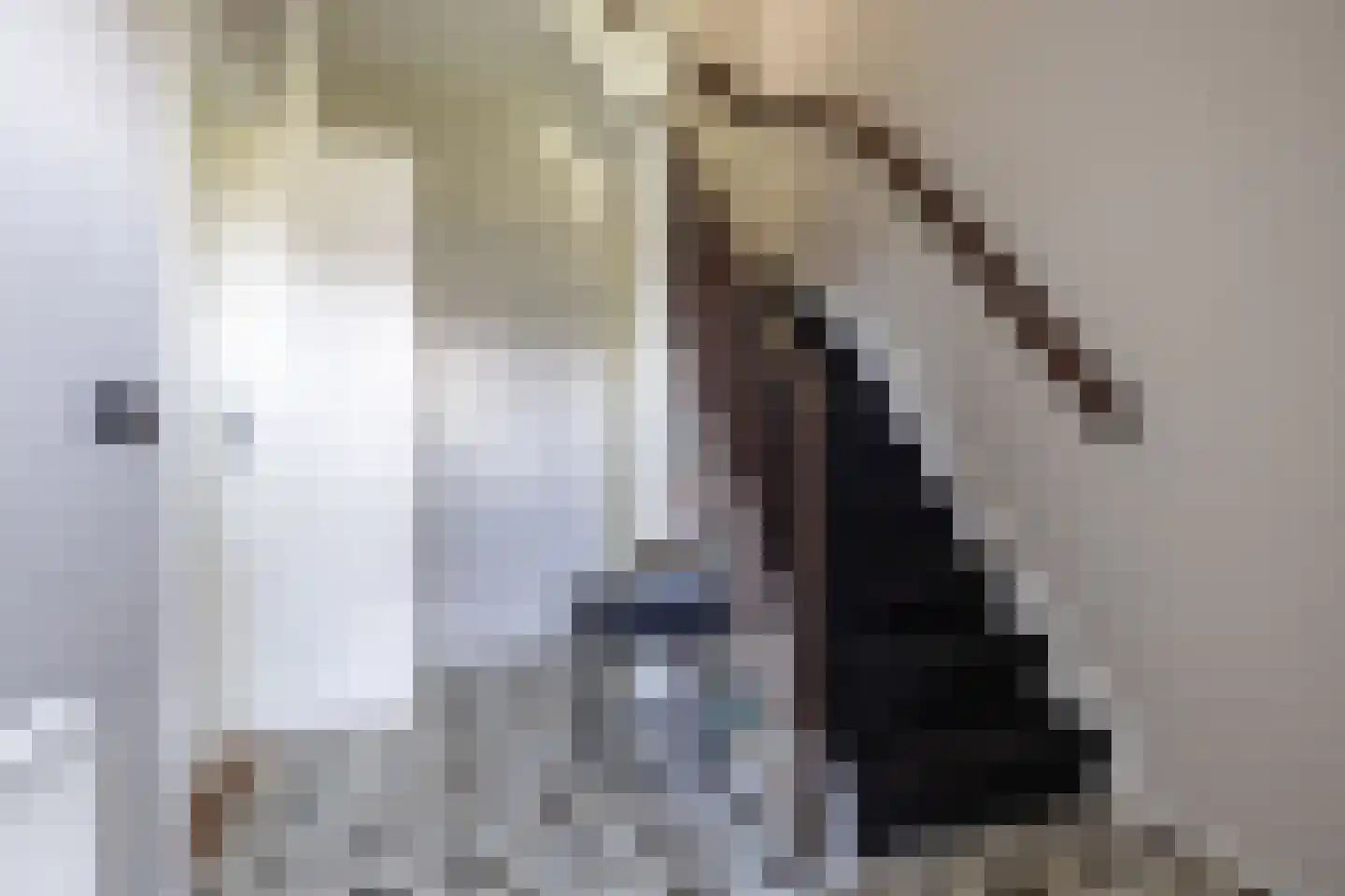 Gerben van Tuinenstraat 1 St.-Jacobiparochie thumbnail 10