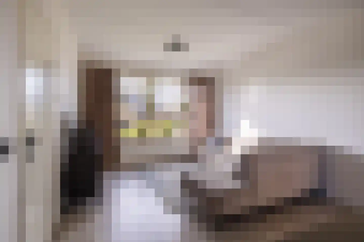 Gerben van Tuinenstraat 1 St.-Jacobiparochie thumbnail 12