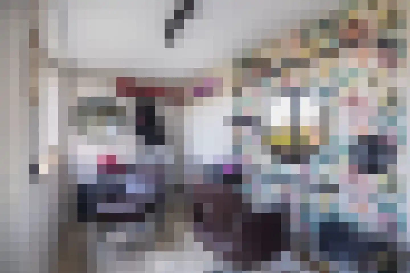 Gerben van Tuinenstraat 1 St.-Jacobiparochie thumbnail 24
