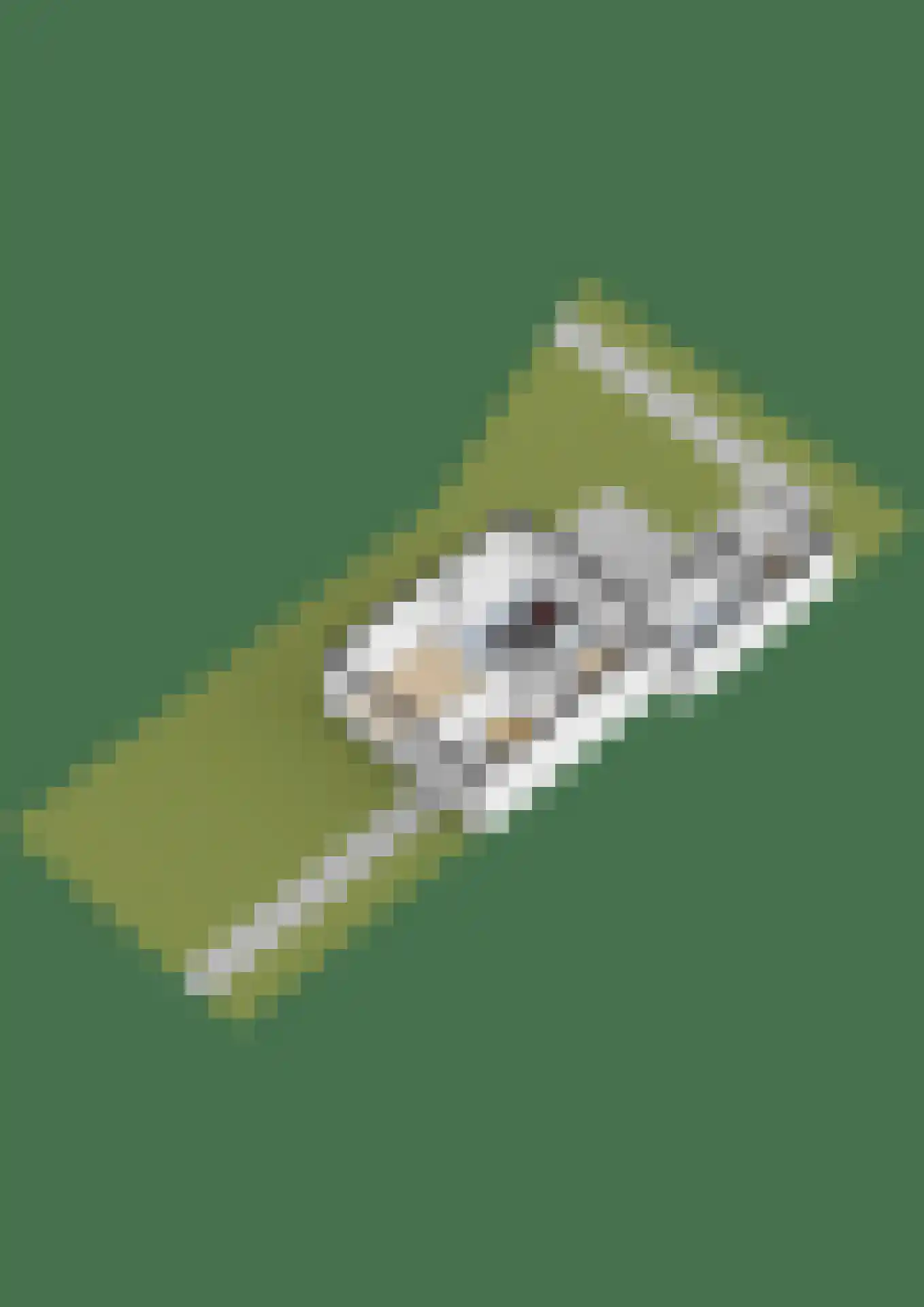 Gerben van Tuinenstraat 1 St.-Jacobiparochie thumbnail 52