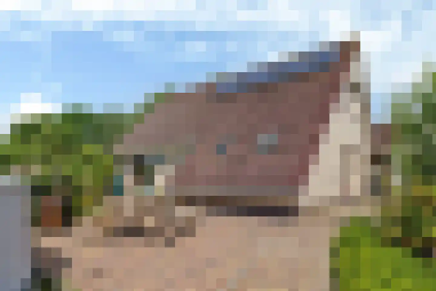 Gerben van Tuinenstraat 35 St.-Jacobiparochie thumbnail 49