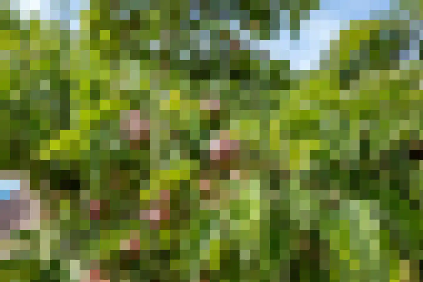 Gerben van Tuinenstraat 35 St.-Jacobiparochie thumbnail 56