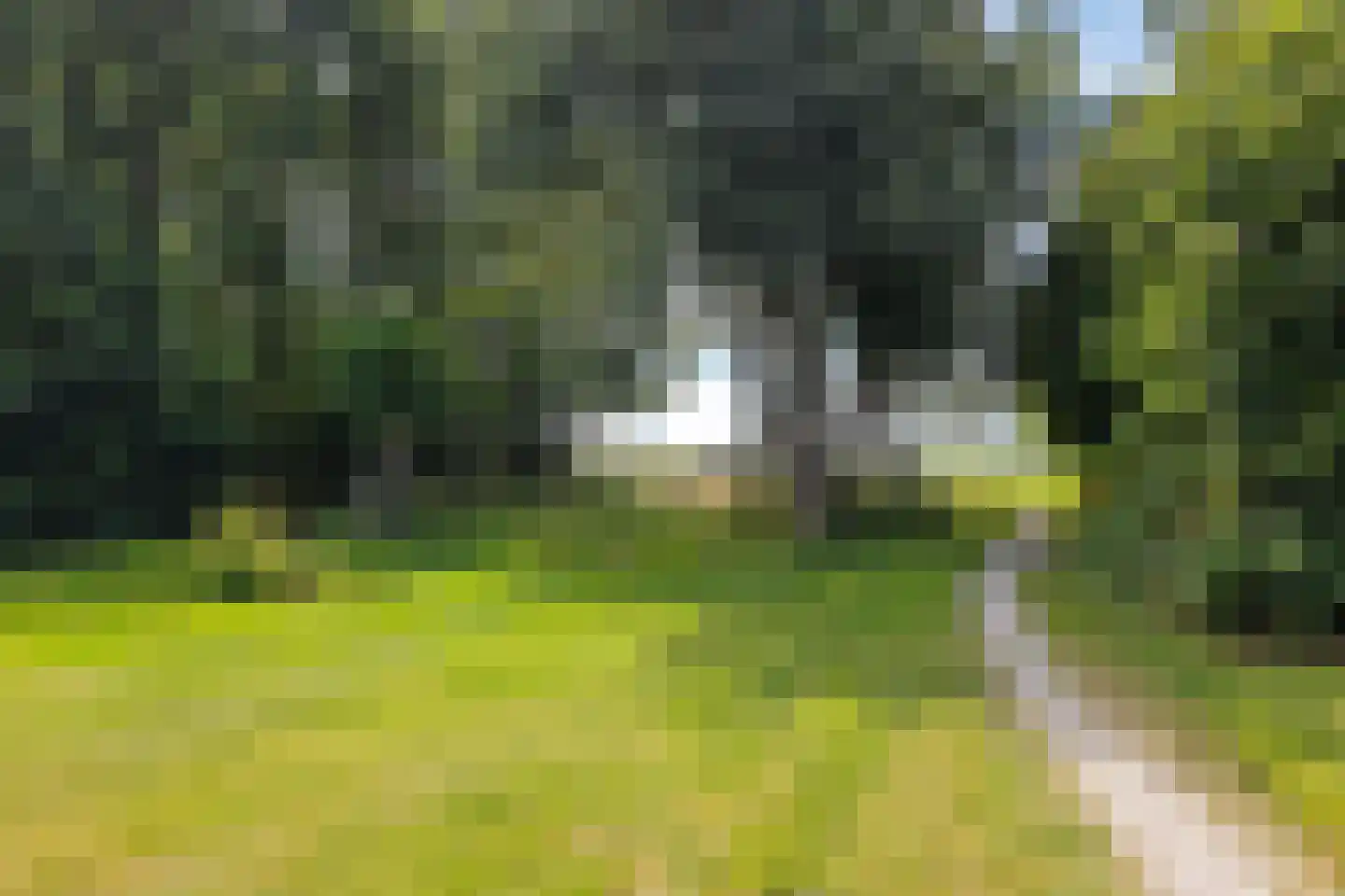 Gerben van Tuinenstraat 35 St.-Jacobiparochie thumbnail 63