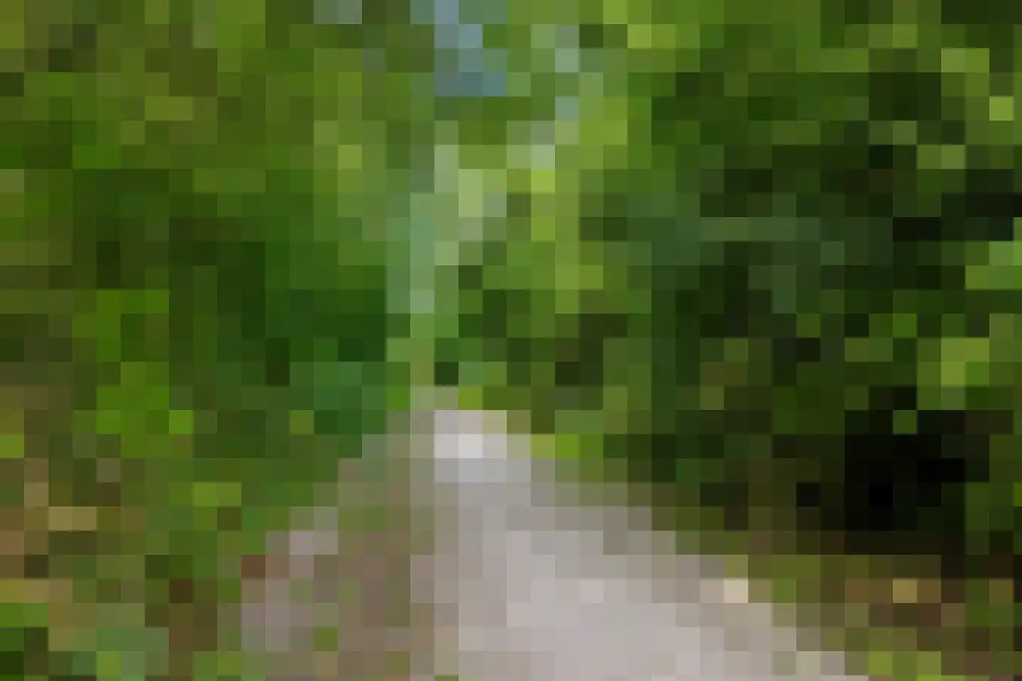 Gerben van Tuinenstraat 35 St.-Jacobiparochie thumbnail 65