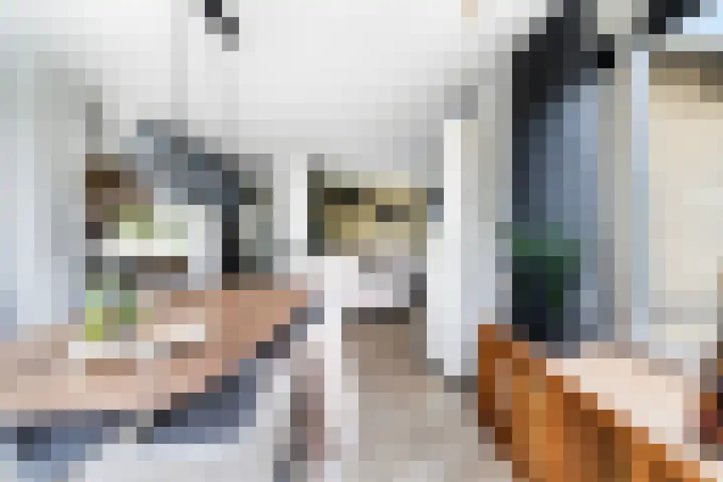 Gerben van Tuinenstraat 45 St.-Jacobiparochie thumbnail 19
