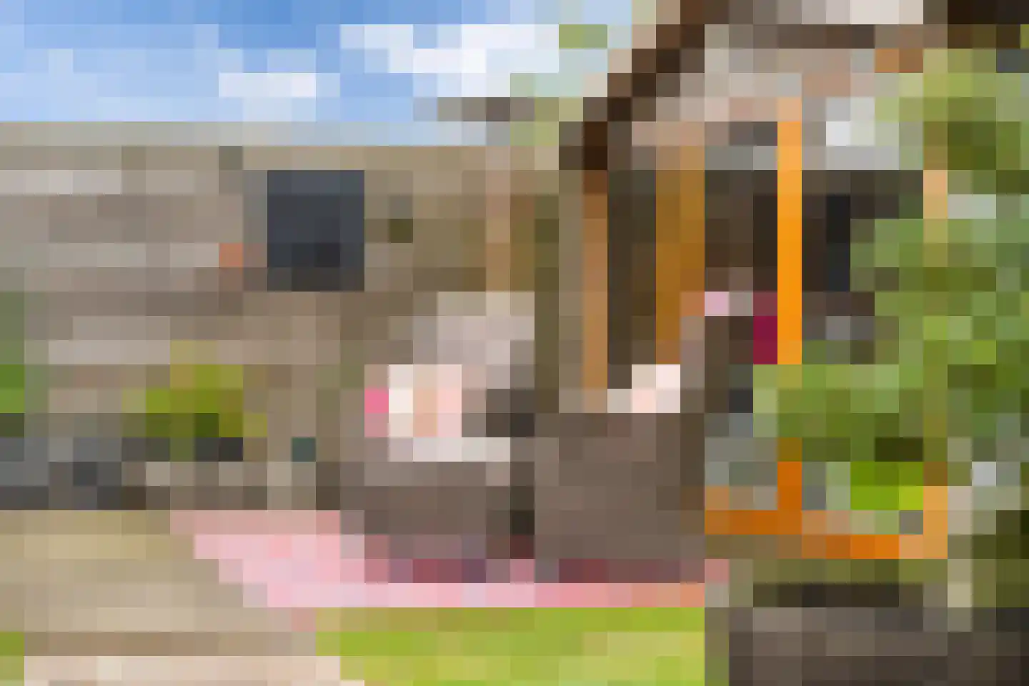 Gerben van Tuinenstraat 45 St.-Jacobiparochie thumbnail 4