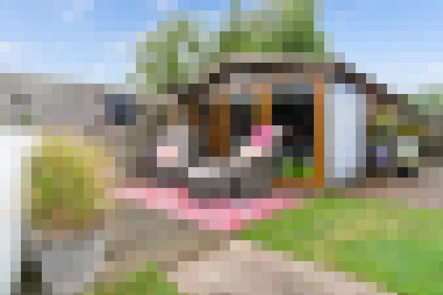 Gerben van Tuinenstraat 45 St.-Jacobiparochie thumbnail 45
