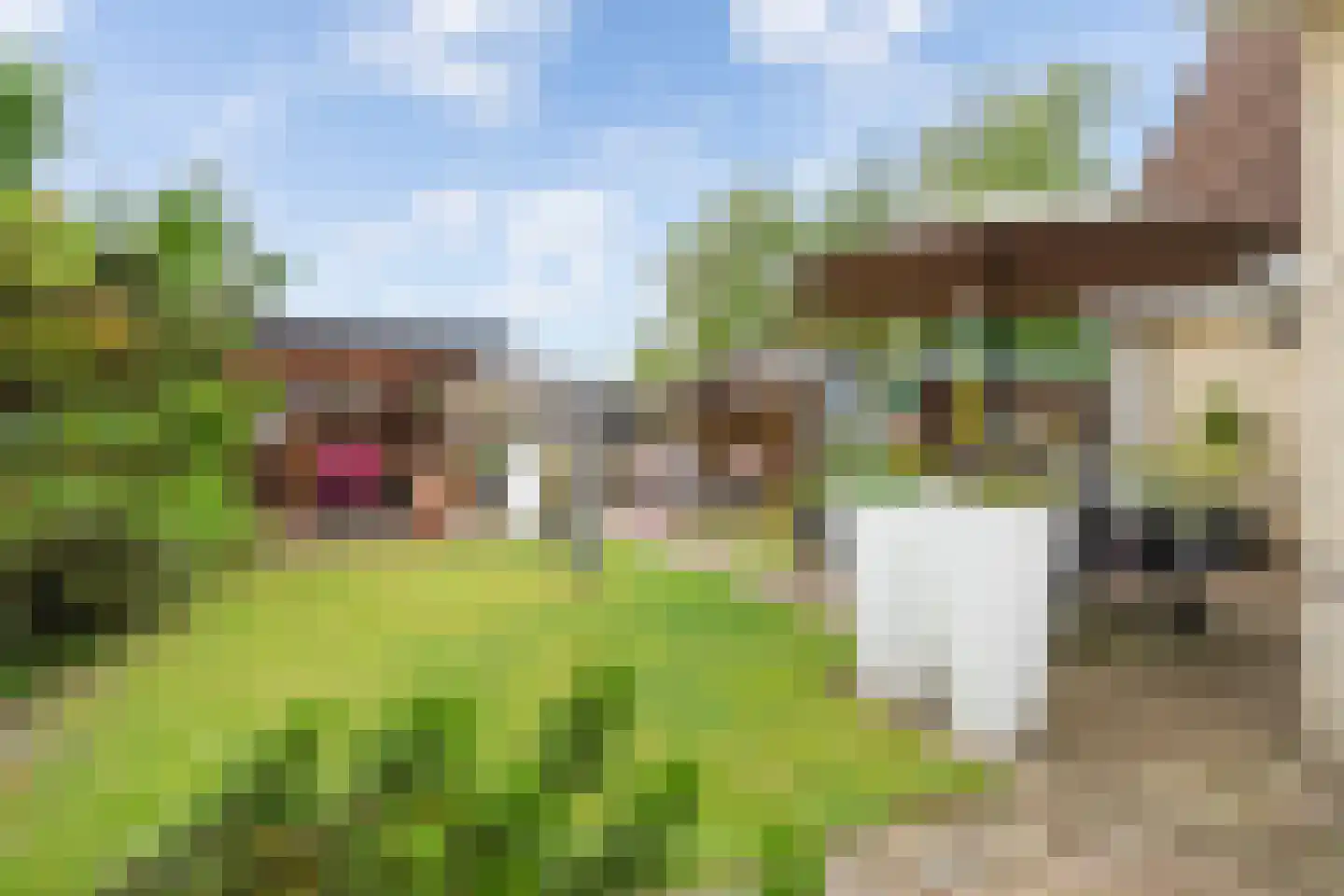 Gerben van Tuinenstraat 45 St.-Jacobiparochie thumbnail 52