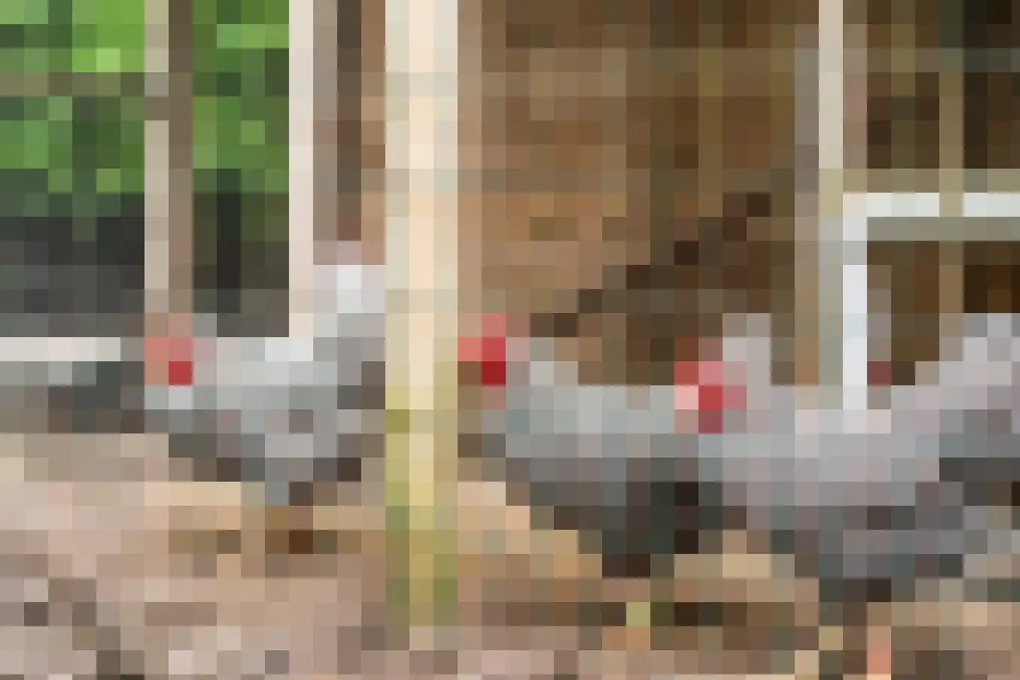 Gerben van Tuinenstraat 45 St.-Jacobiparochie thumbnail 59