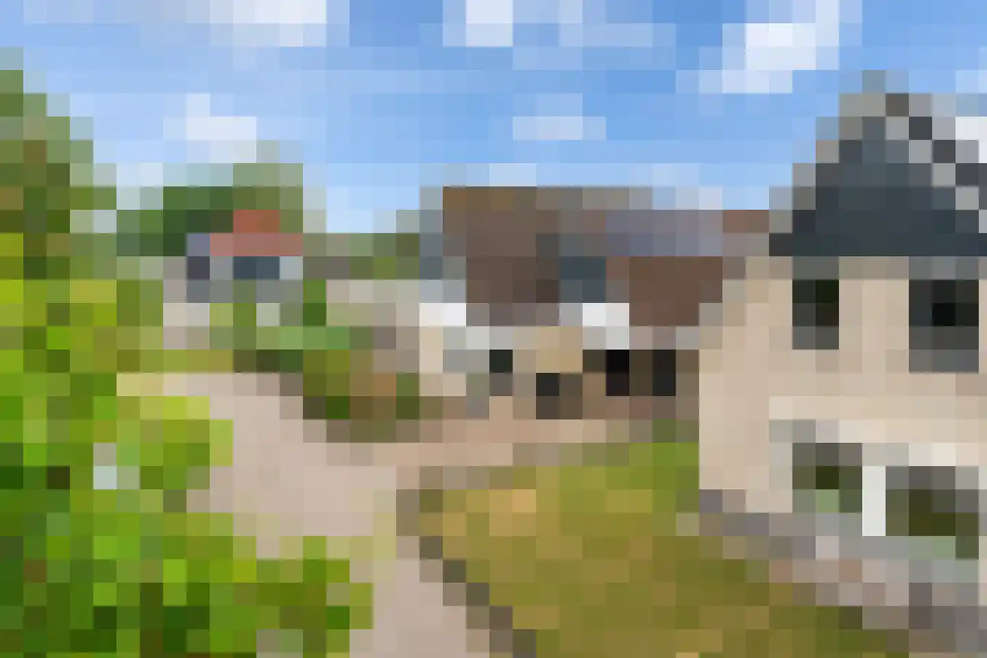 Gerben van Tuinenstraat 45 St.-Jacobiparochie thumbnail 65