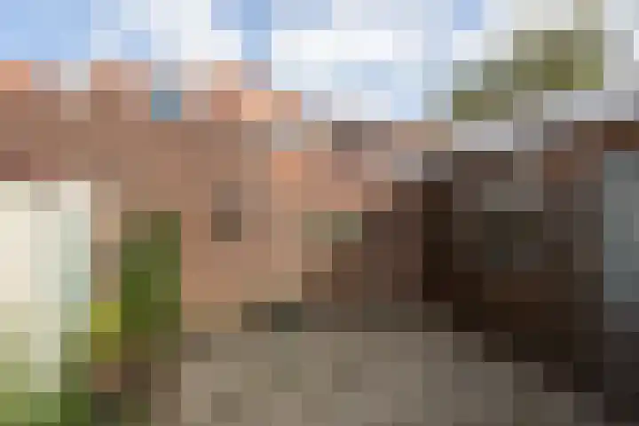 Gerben Wopkesstraat 4 Bolsward thumbnail 29