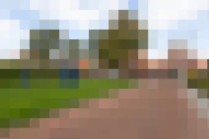 Gerben Wopkesstraat 4 Bolsward thumbnail 35
