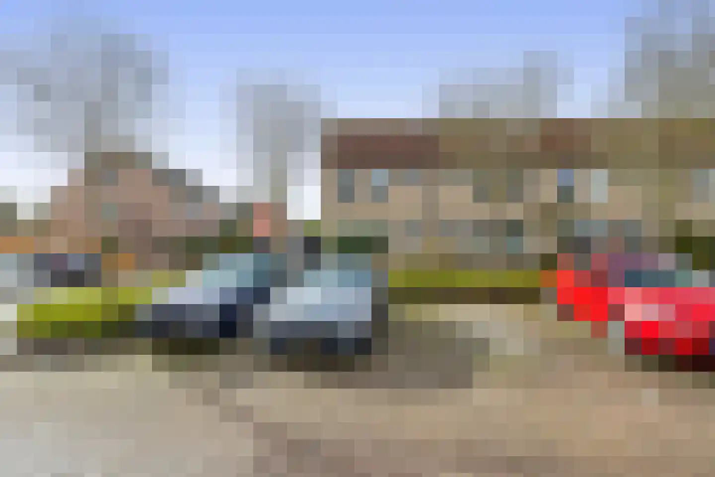 Gerbera 12 Dirksland thumbnail 6