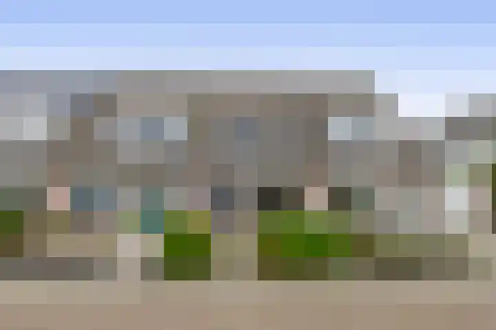 Gerbera 17 Dirksland