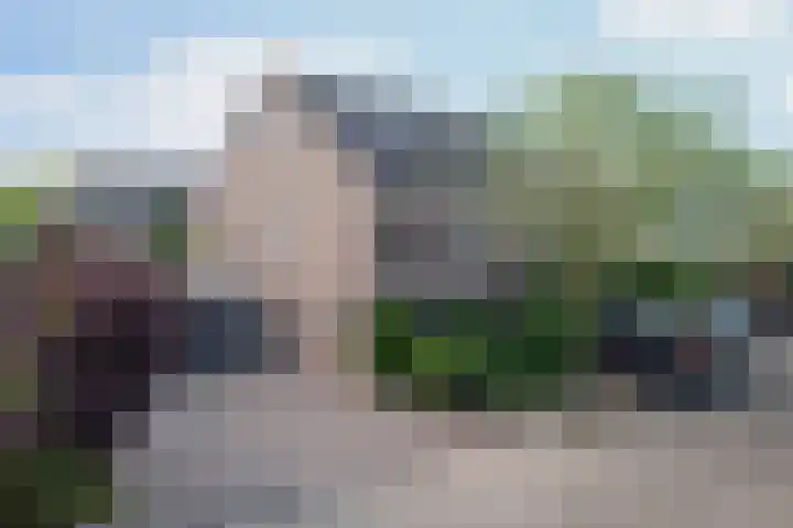 Gerbera 29 in Dirksland