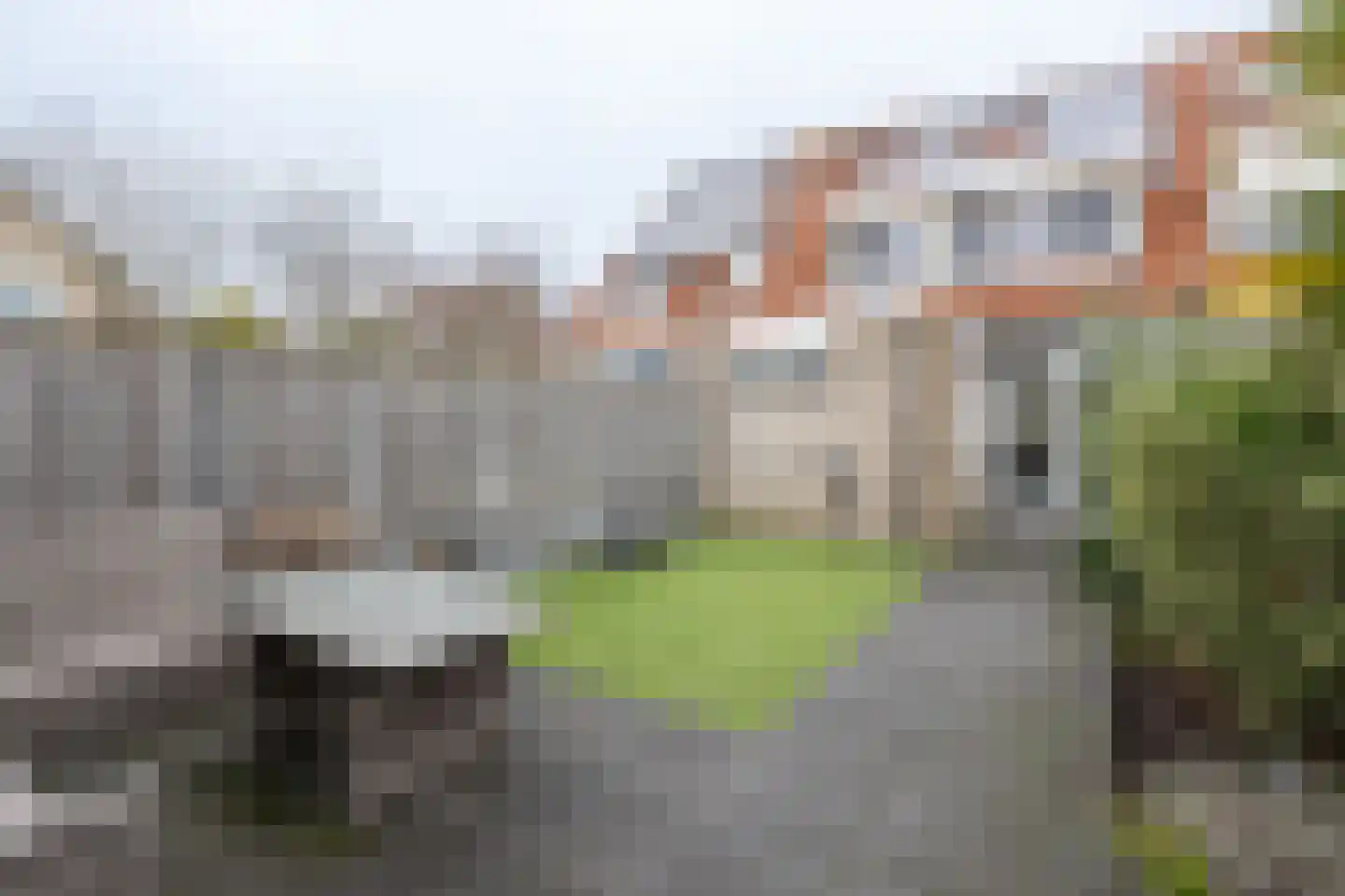 Gerbera 4 Dirksland thumbnail 28