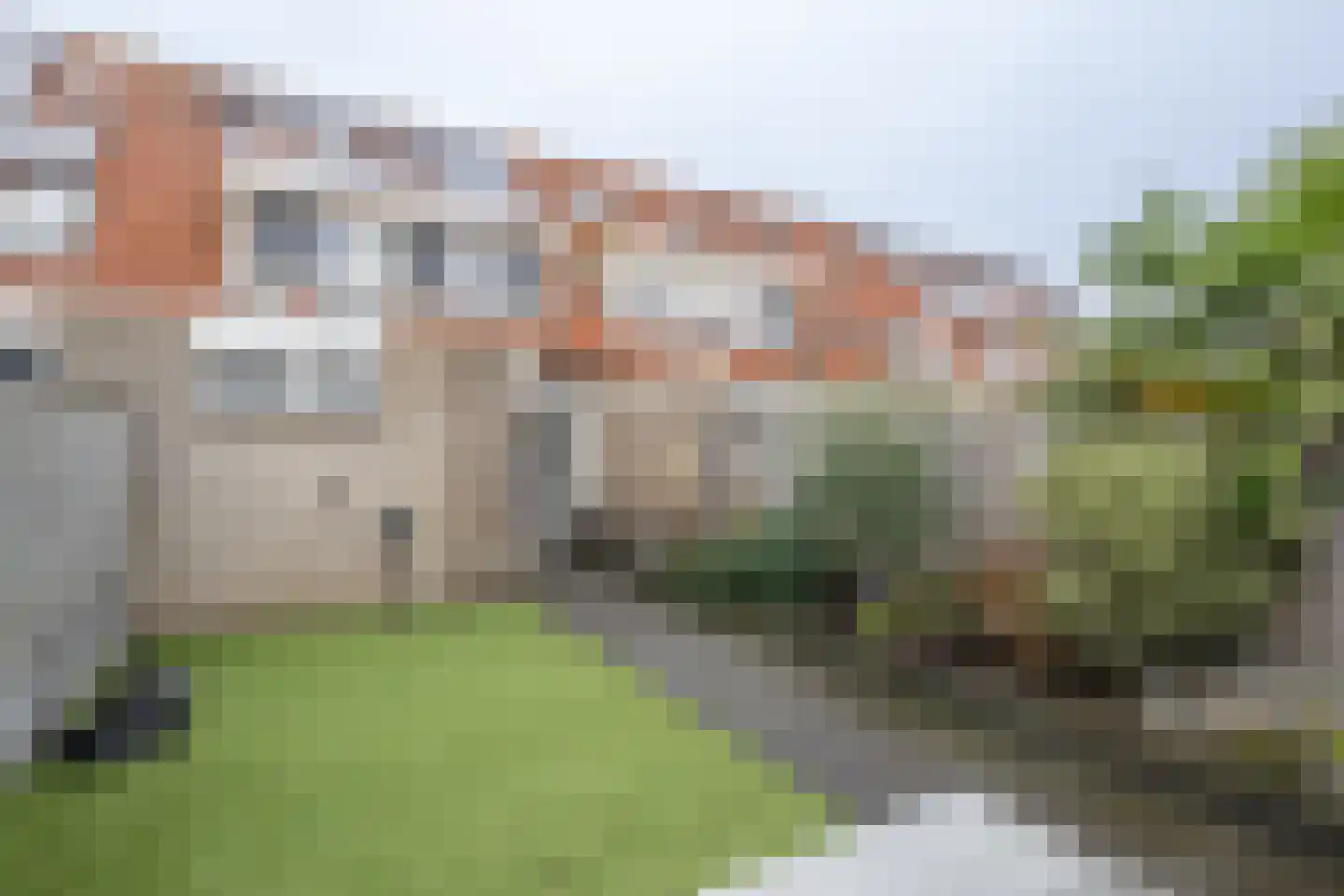 Gerbera 4 Dirksland thumbnail 29