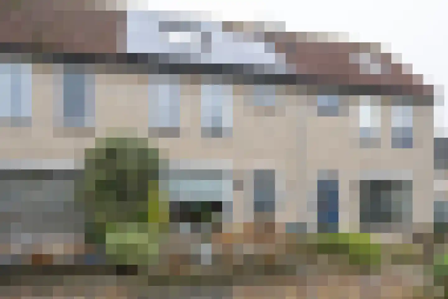 Gerbera 4 Dirksland thumbnail 30