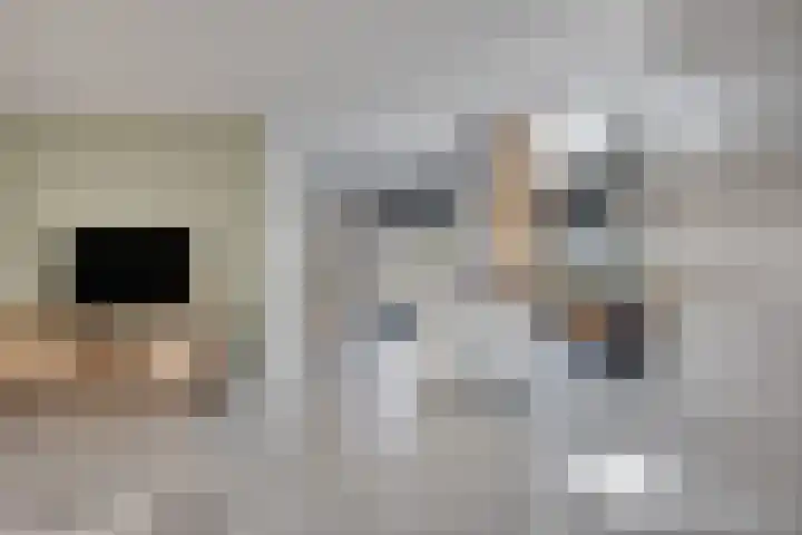 Gerberahof 2 Zwaag thumbnail 11