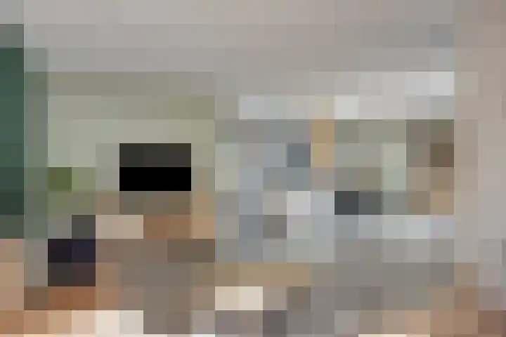 Gerberahof 2 Zwaag thumbnail 13