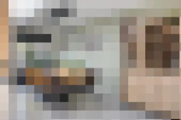 Gerberahof 2 Zwaag thumbnail 15