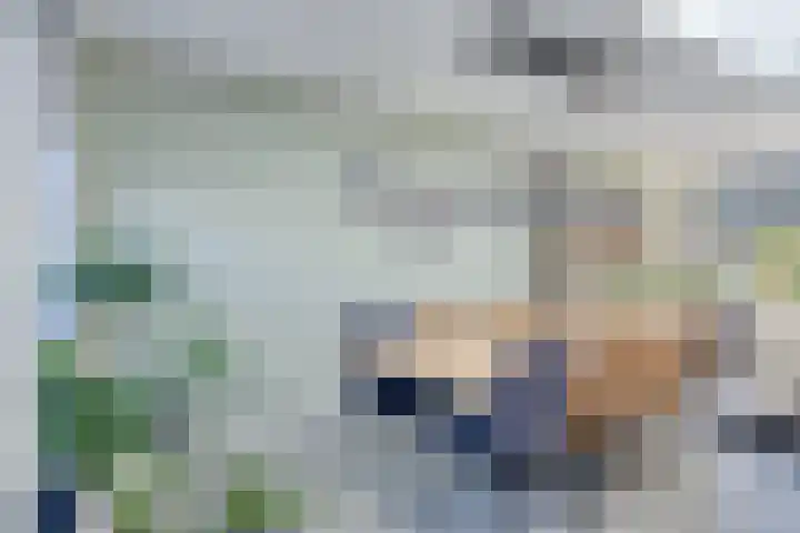 Gerberahof 2 Zwaag thumbnail 17