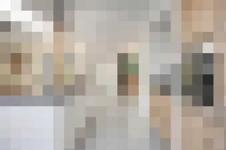 Gerberahof 2 Zwaag thumbnail 19