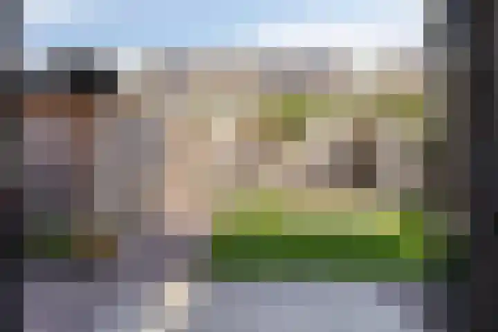 Gerberahof 2 Zwaag thumbnail 20