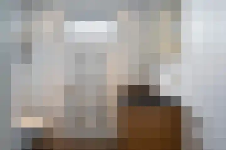 Gerberahof 2 Zwaag thumbnail 26