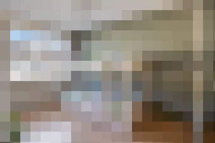 Gerberahof 2 Zwaag thumbnail 29