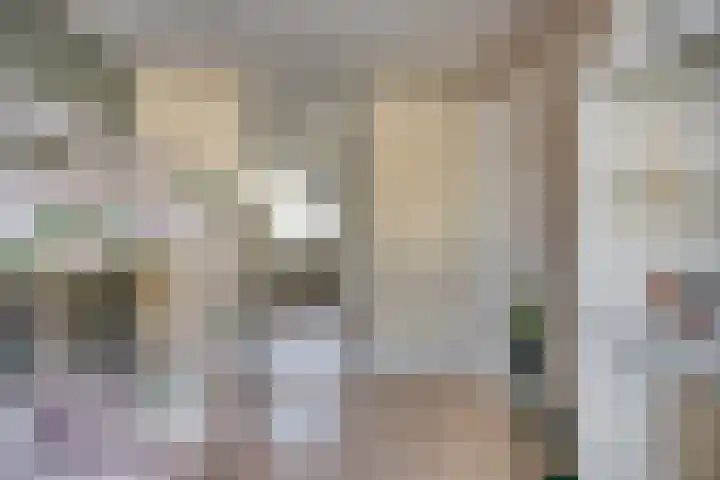 Gerberahof 2 Zwaag thumbnail 30