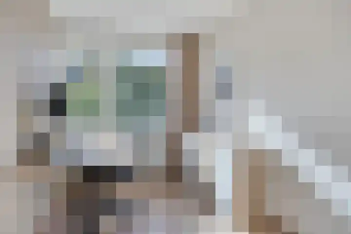 Gerberahof 2 Zwaag thumbnail 31