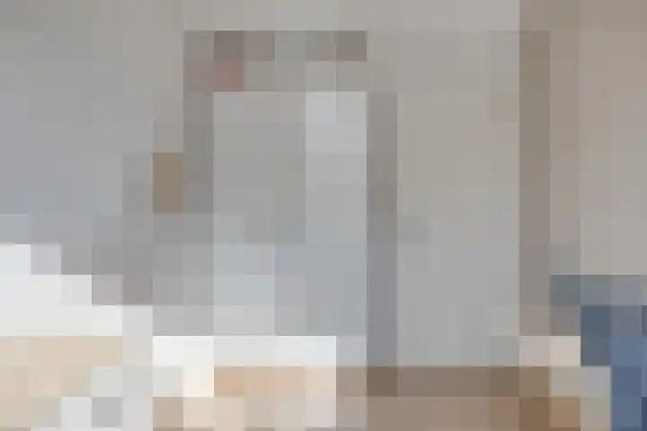 Gerberahof 2 Zwaag thumbnail 32