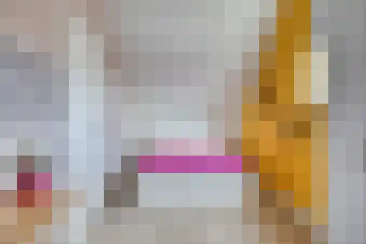 Gerberahof 2 Zwaag thumbnail 33