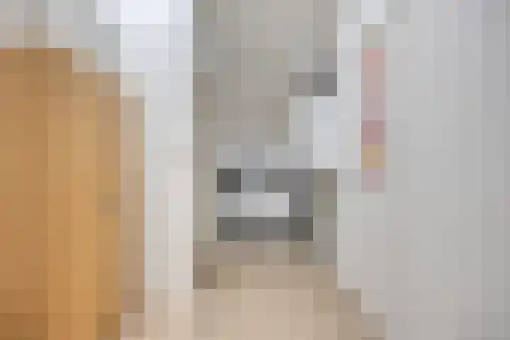 Gerberahof 2 Zwaag thumbnail 36