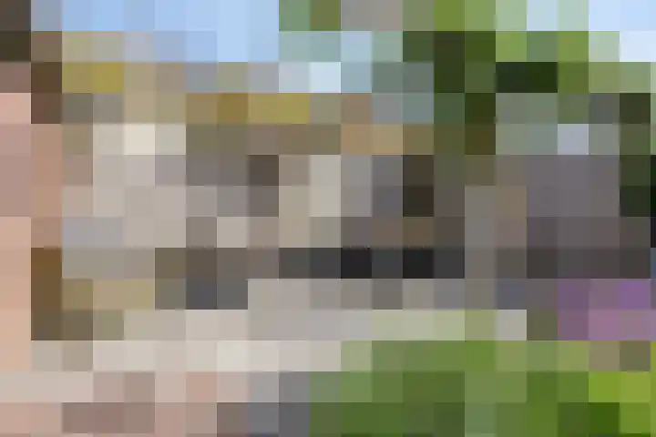 Gerberahof 2 Zwaag thumbnail 38