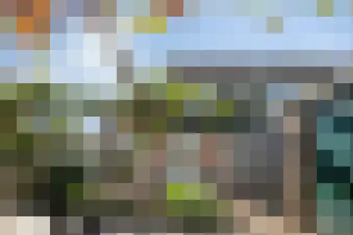 Gerberahof 2 Zwaag thumbnail 39