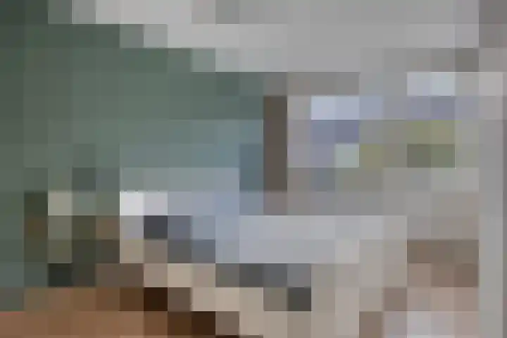 Gerberahof 2 Zwaag thumbnail 4