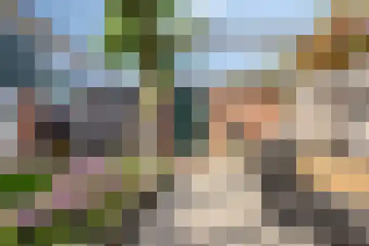 Gerberahof 2 Zwaag thumbnail 40