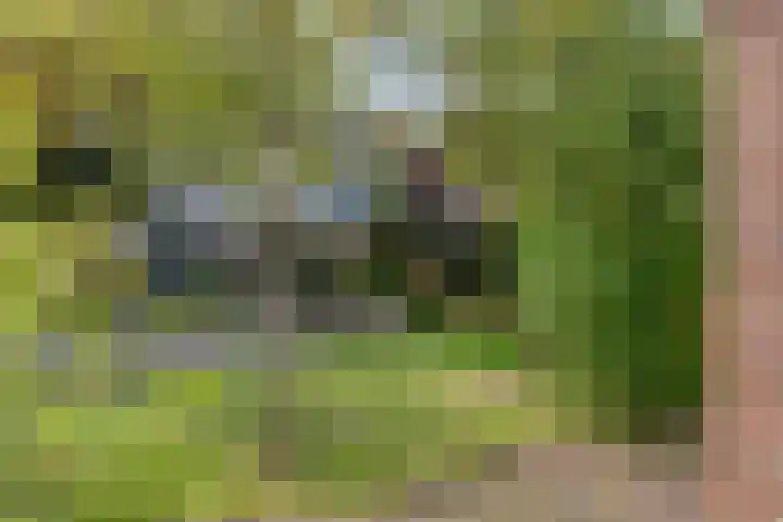 Gerberahof 2 Zwaag thumbnail 42