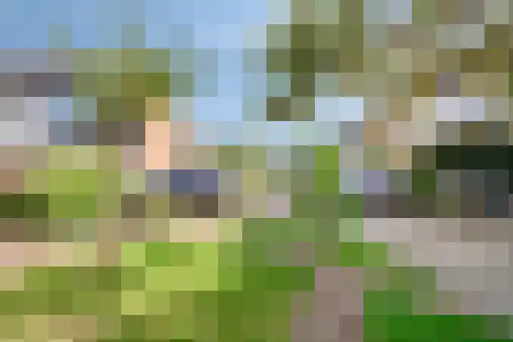 Gerberahof 2 Zwaag thumbnail 43